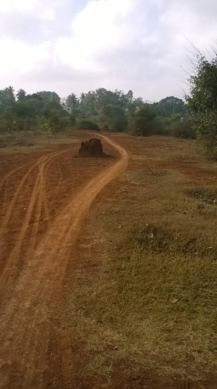 WP_20161204_08_14_32_Pro